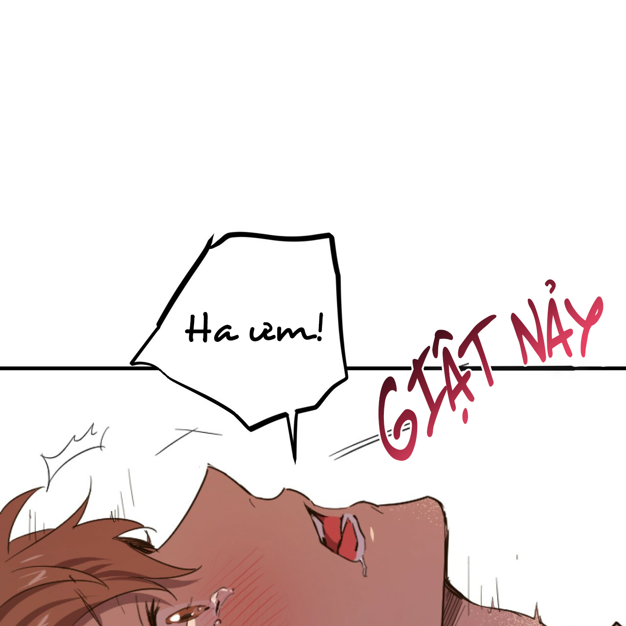 những chú thỏ của hapypy chapter 1 12