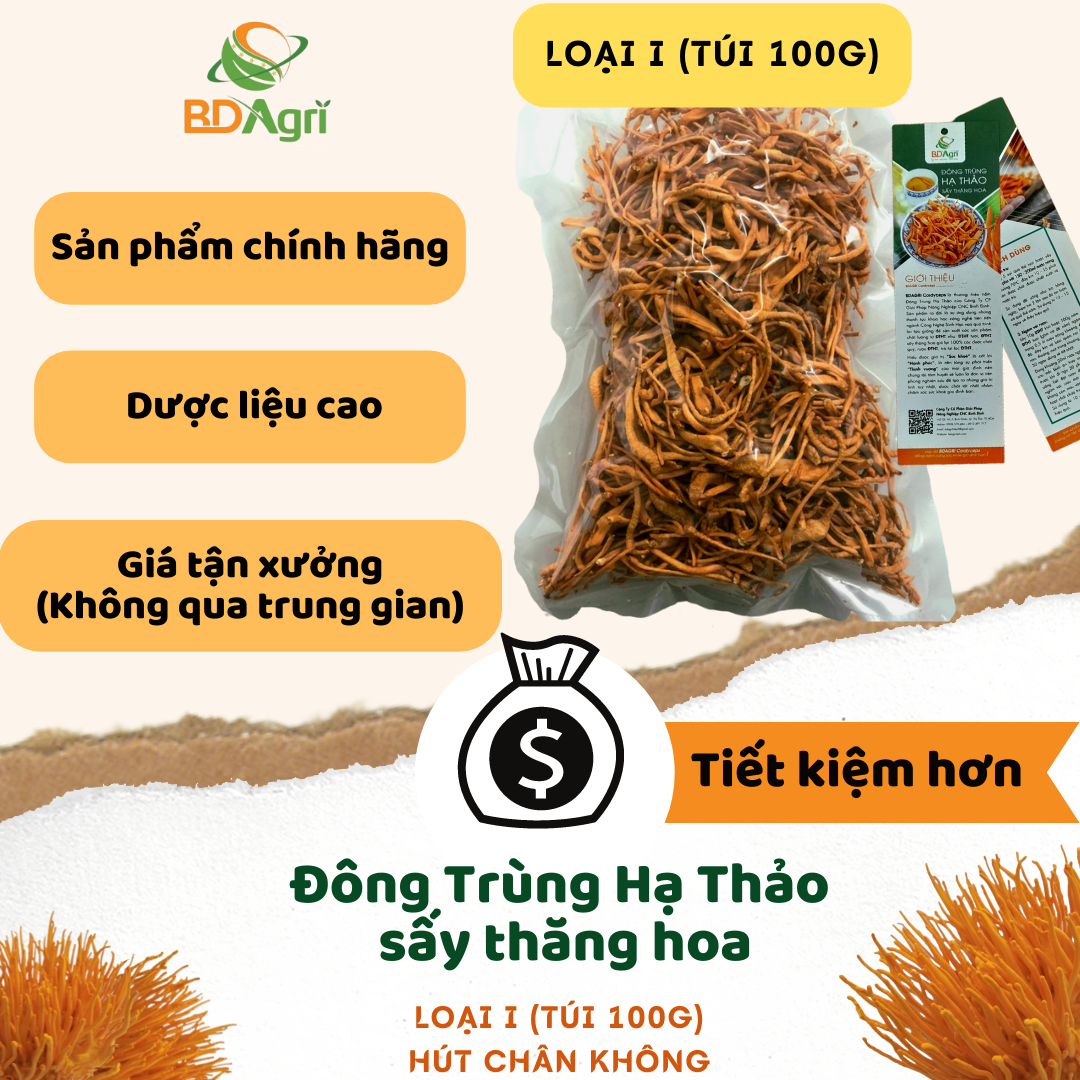 ĐÔNG TRÙNG HẠ THẢO BDAGRI SẤY THĂNG HOA (BỊCH 100G) CHẤT LƯỢNG