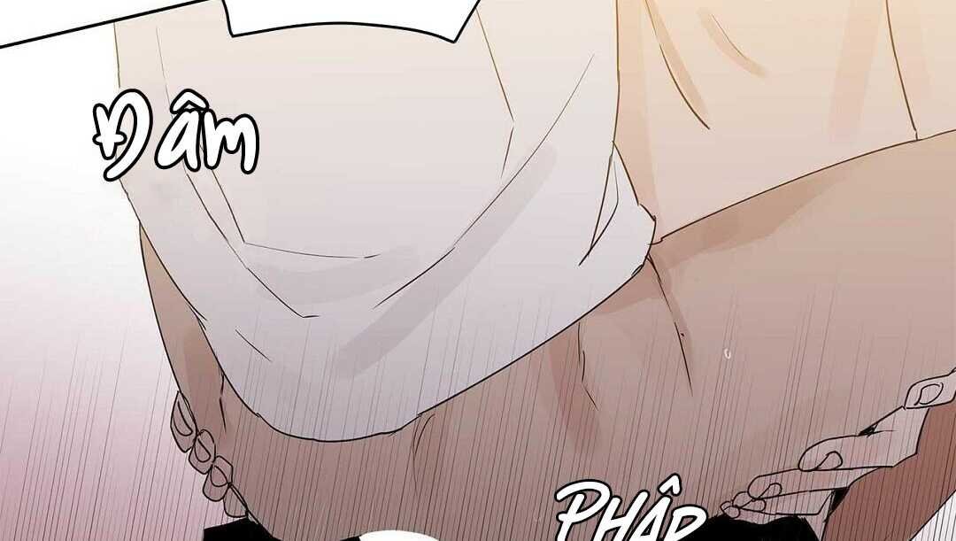 guide cấp b chapter 41 196