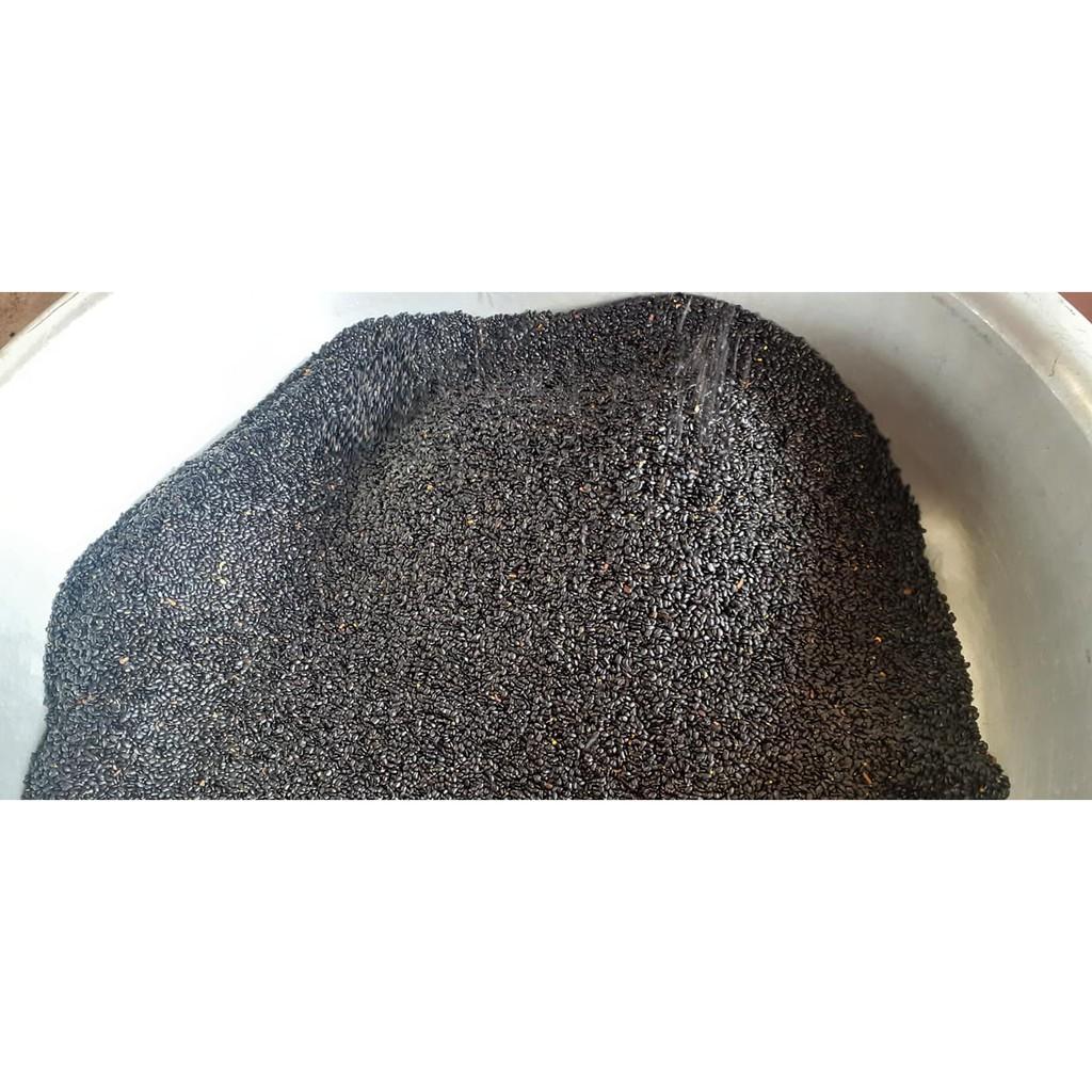 HẠT GIỐNG KEO TAI TƯỢNG TRỒNG RỪNG, CẢI TẠO ĐẤT - TÚI 1KG
