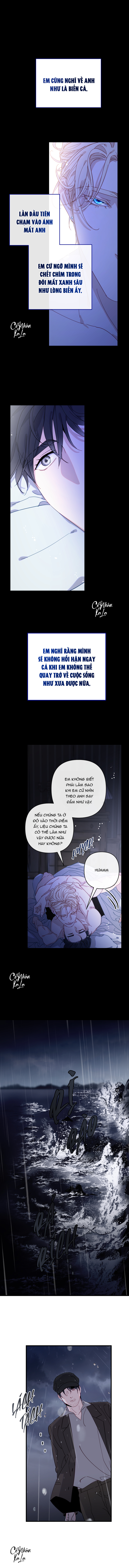 chàng tiên cá trên cạn chapter 1 2