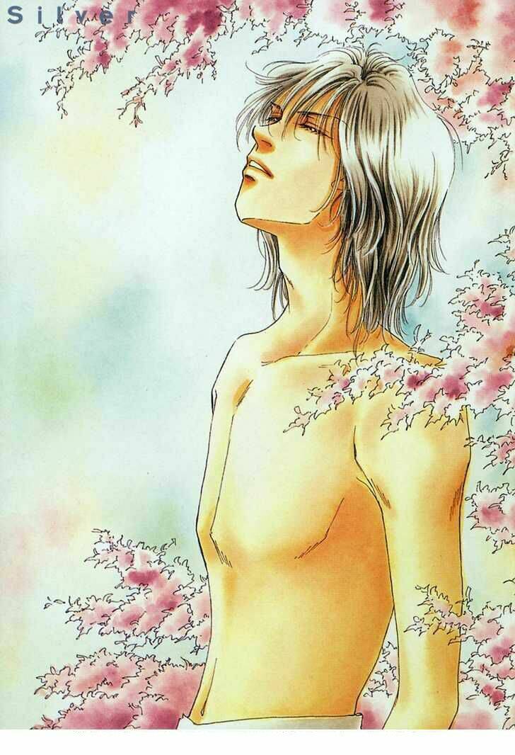 silver (fujita kazuko) chapter 8 4
