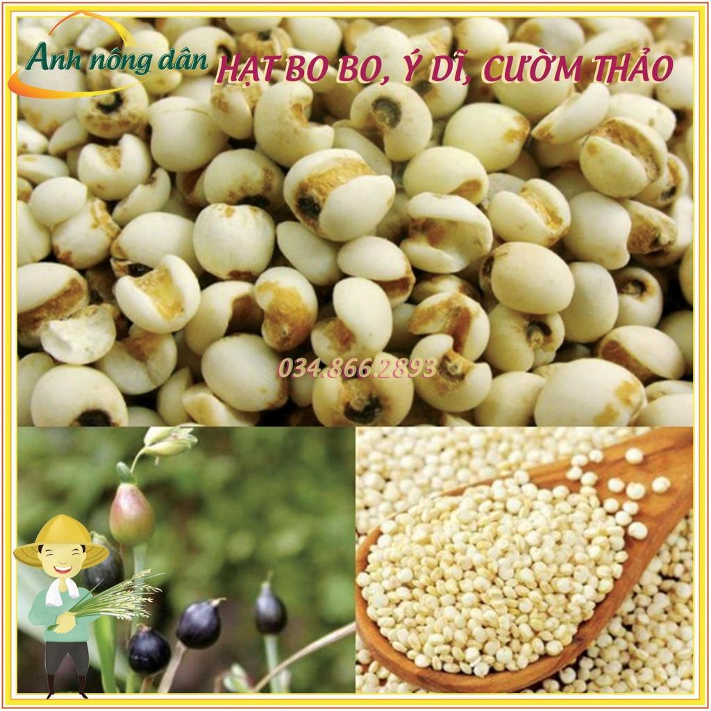 500g Hạt Cây Bo bo, Cây Ý Dĩ, Cườm Thảo - dùng cho chăn nuôi gia súc, gia cầm, thiên cầm