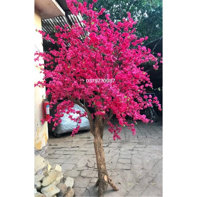 Hoa đào giả - Đào bích