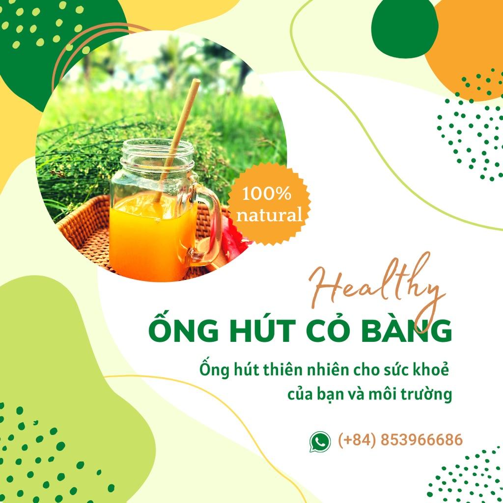 Hộp 100 ống hút size 20cm cỏ bàng khô Ecozone dùng cho trà, nước quả, sinh tố, smothies - hàng XK