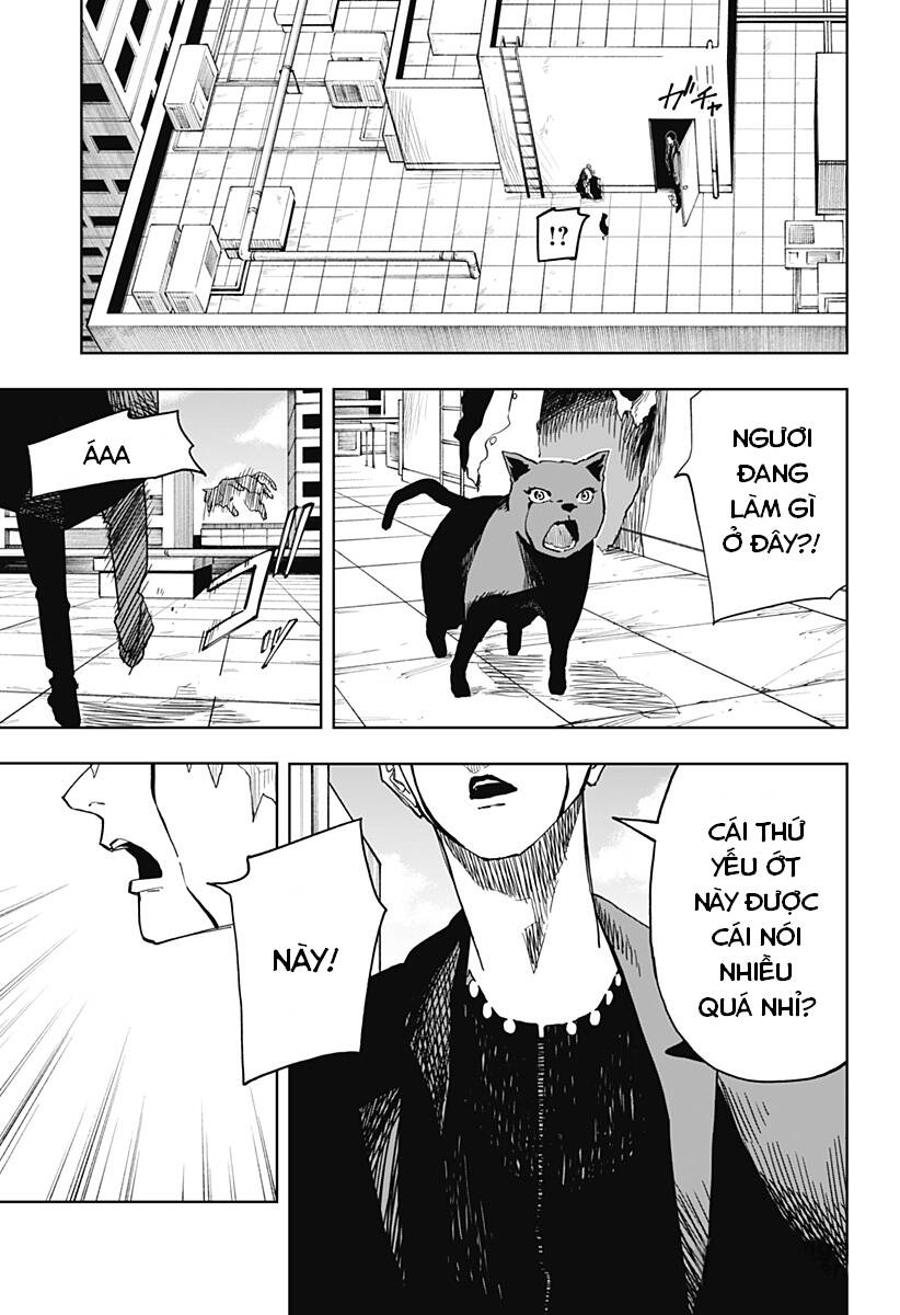 stage s chapter 9 19