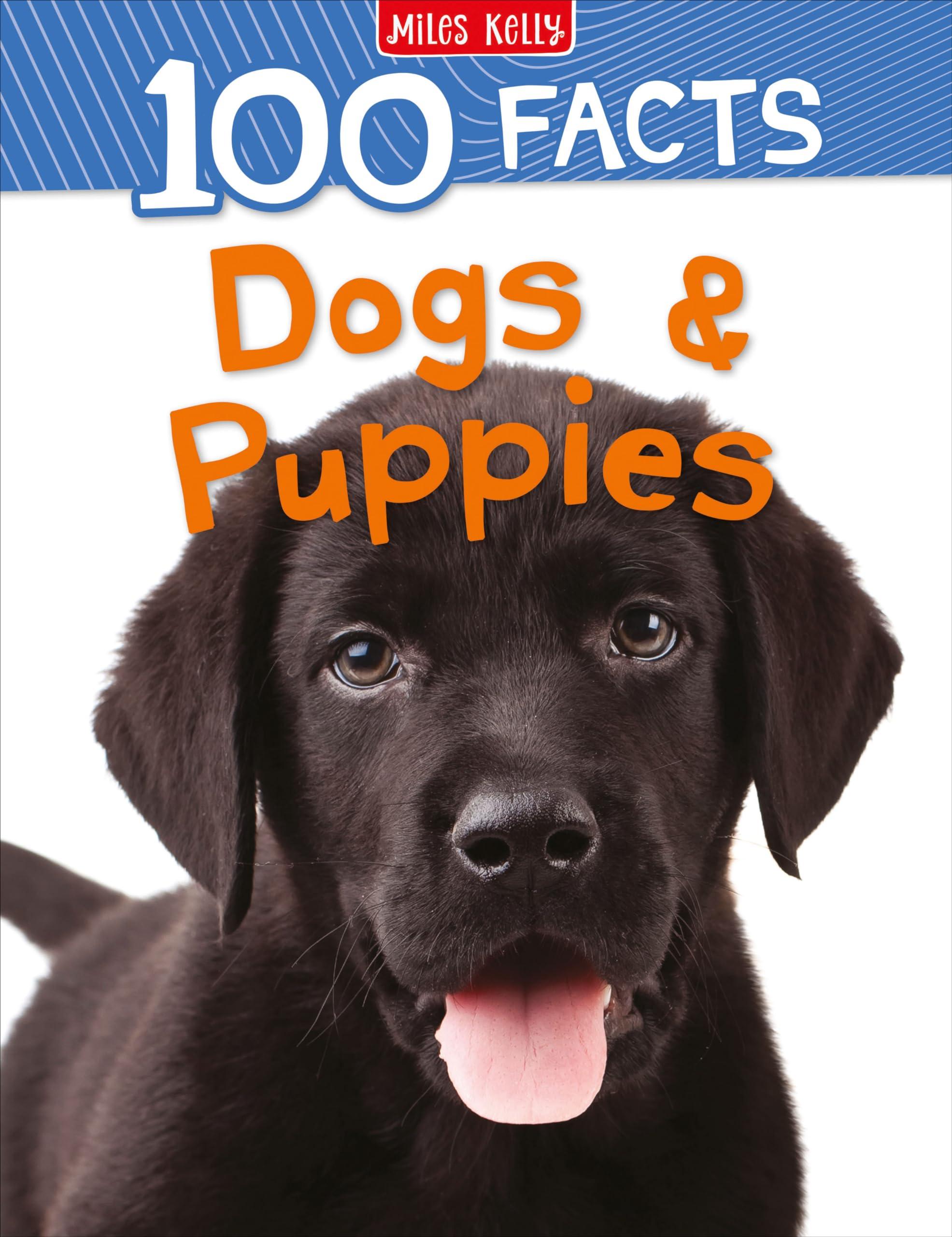 Sách ngoại văn: 100 Facts Dogs And Puppies