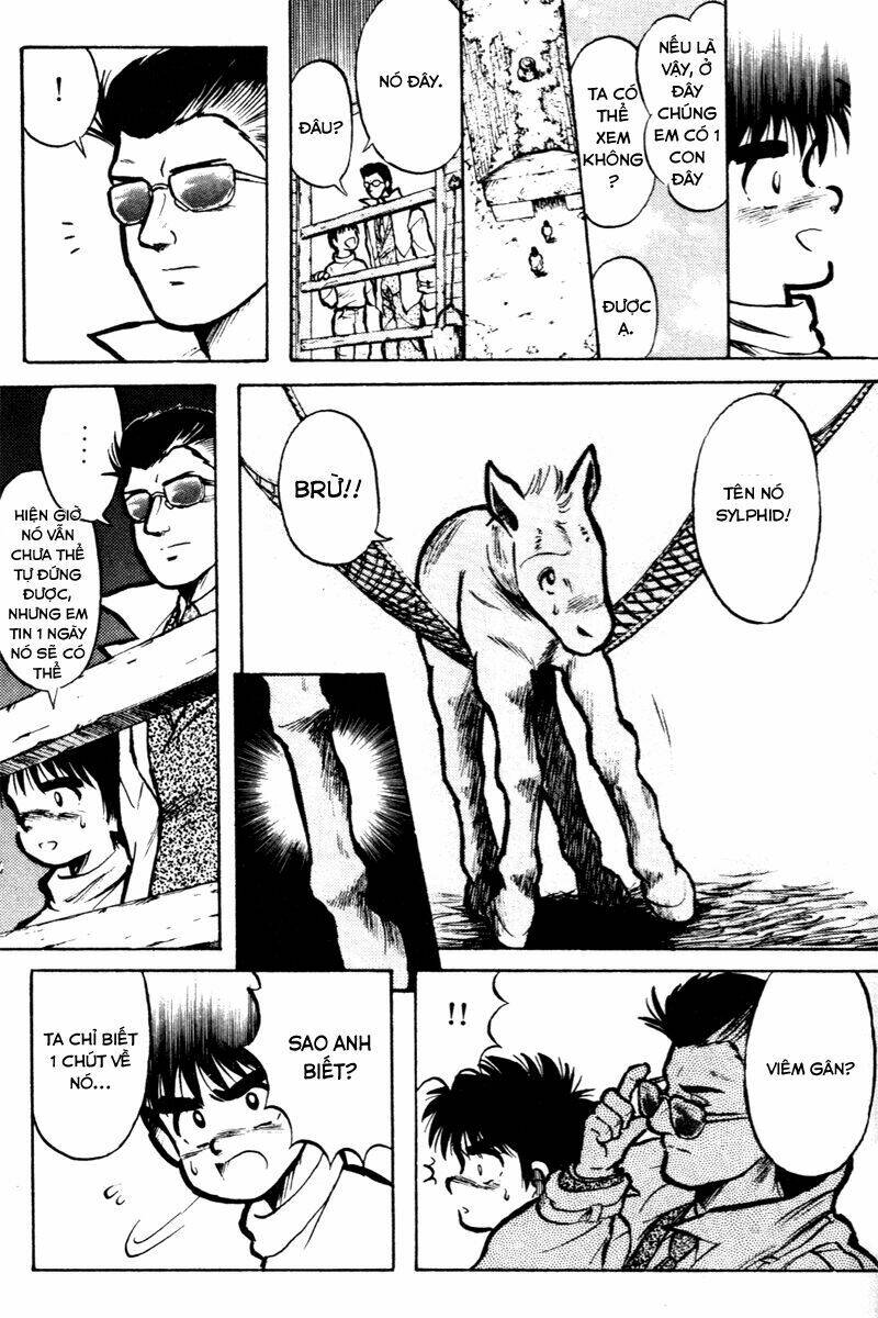 kaze no sylphid - phong mã silphid chapter 4 8