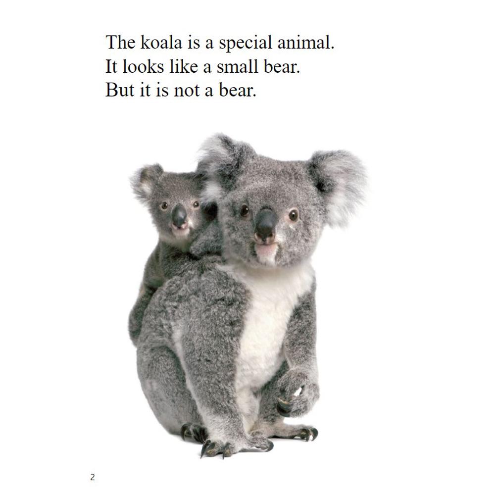 [Compass Reading Level 3-8] Koalas - Leveled Reader with Downloadable Audio