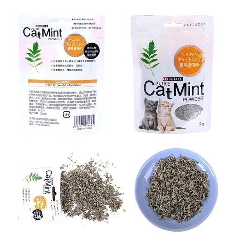 Cỏ Bạc Hà Catnip HAHALE Cho Mèo 5g