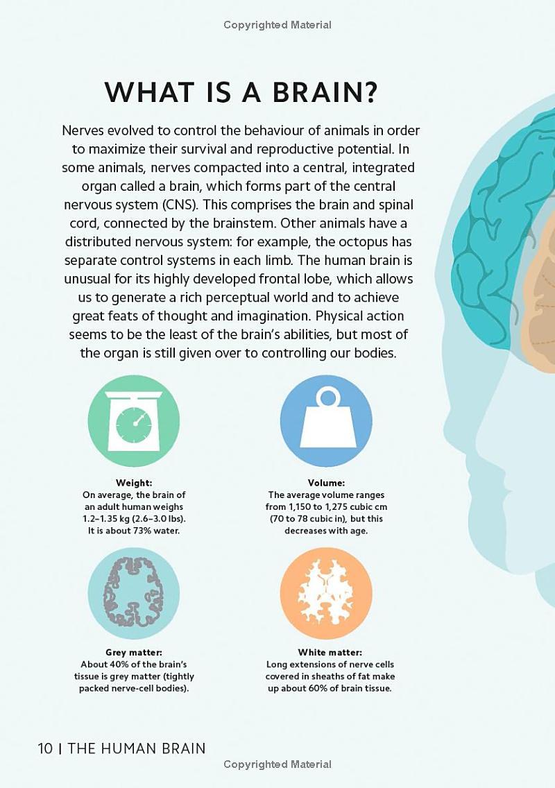 Sách ngoại văn: Simply The Brain