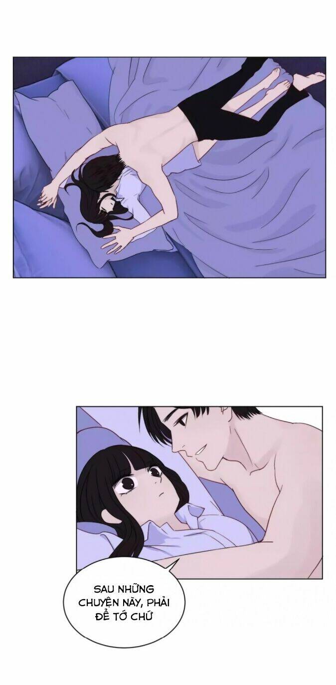 chào buổi sáng, hướng dương chapter 38 6