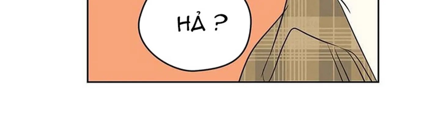 chuyện quái gì với giấc mơ đó vậy chapter 13 345