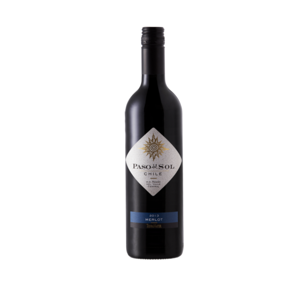 Rượu Vang Đỏ Chile TerraMater Paso Del Sol Merlot