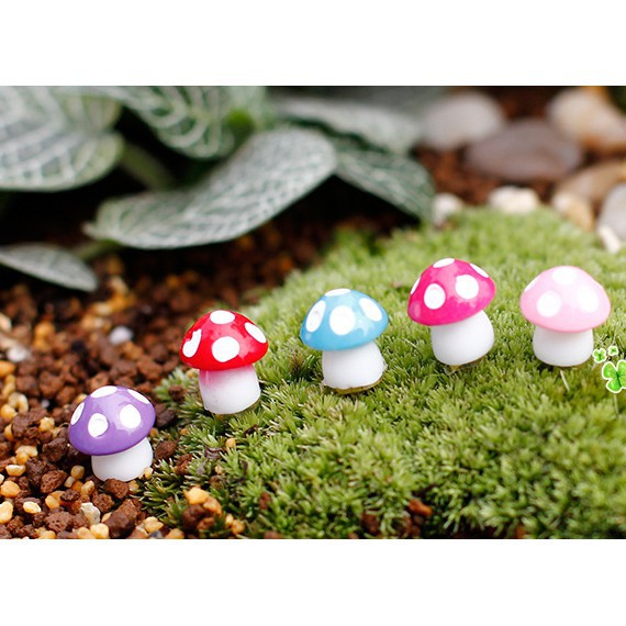 Combo 10 cây Nấm mini phụ kiện trang trí terrarium