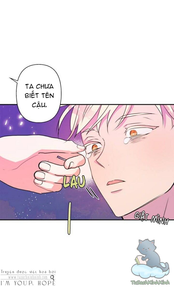 tôi đang nuôi dưỡng một con quái thú chapter 42 1