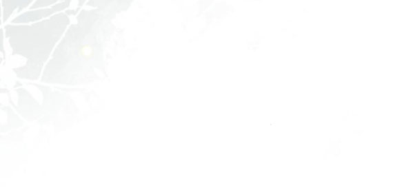 cách hiệp sĩ sống như một tiểu thư chapter 97.2 9