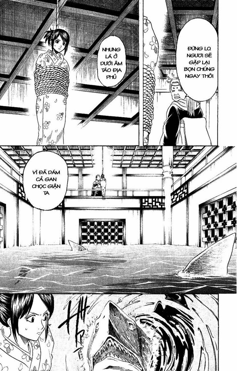 gintama - linh hồn bạc chapter 178 11