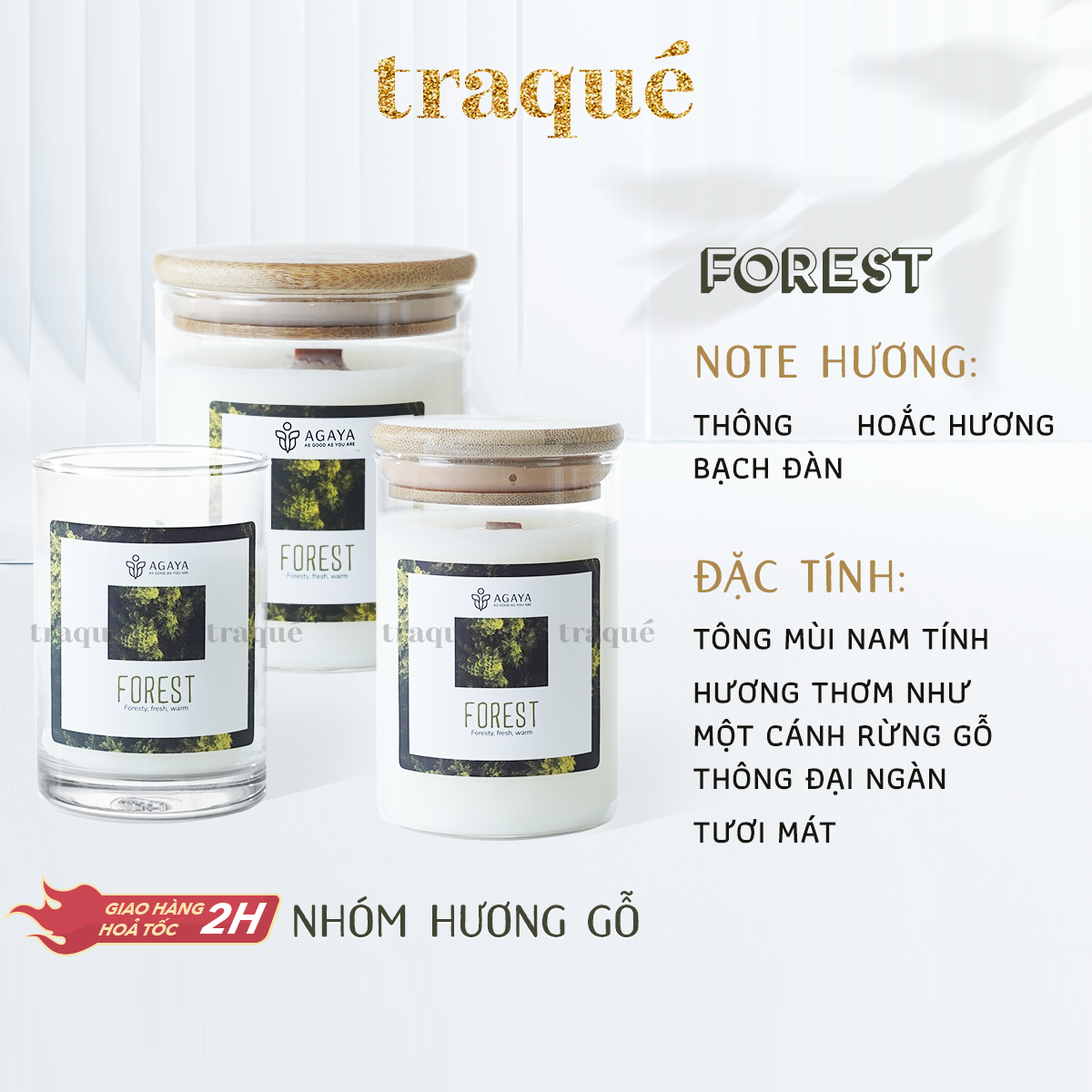 Nến thơm tinh dầu cao cấp không khói an toàn Candle Cup - FOREST/HƯƠNG RỪNG - L - 350G (CÓ NẮP)