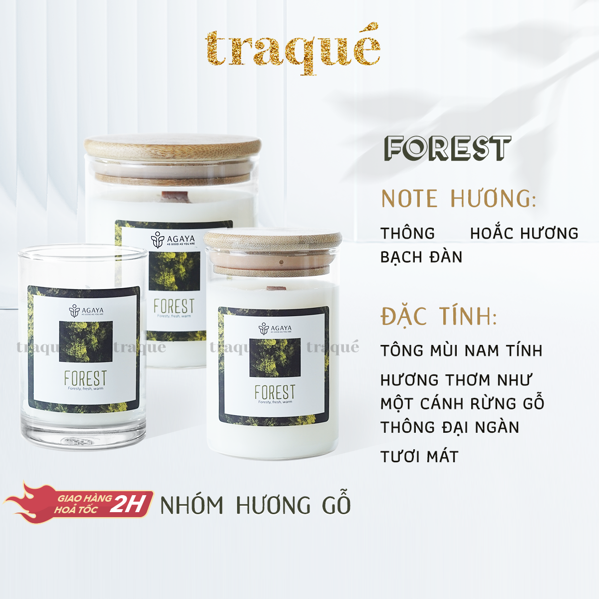 Nến thơm tinh dầu cao cấp không khói an toàn Candle Cup - FOREST/HƯƠNG RỪNG - S - 100G