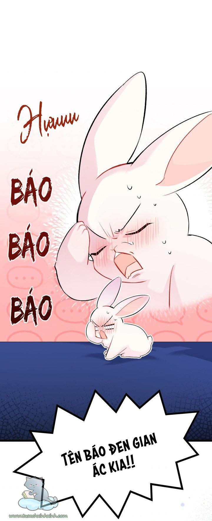 quan hệ cộng sinh giữa báo đen và thỏ trắng chapter 46 49
