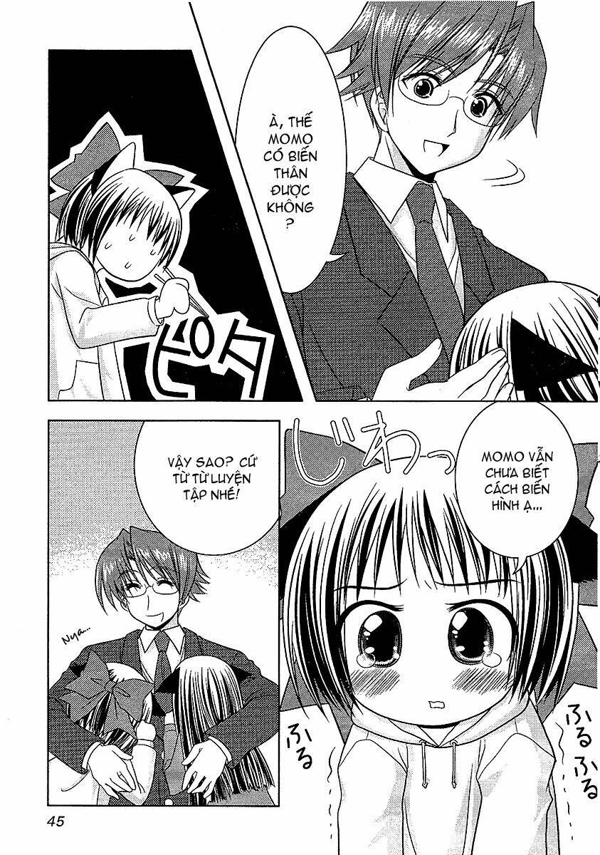 sakura no nekohime chapter 8 19