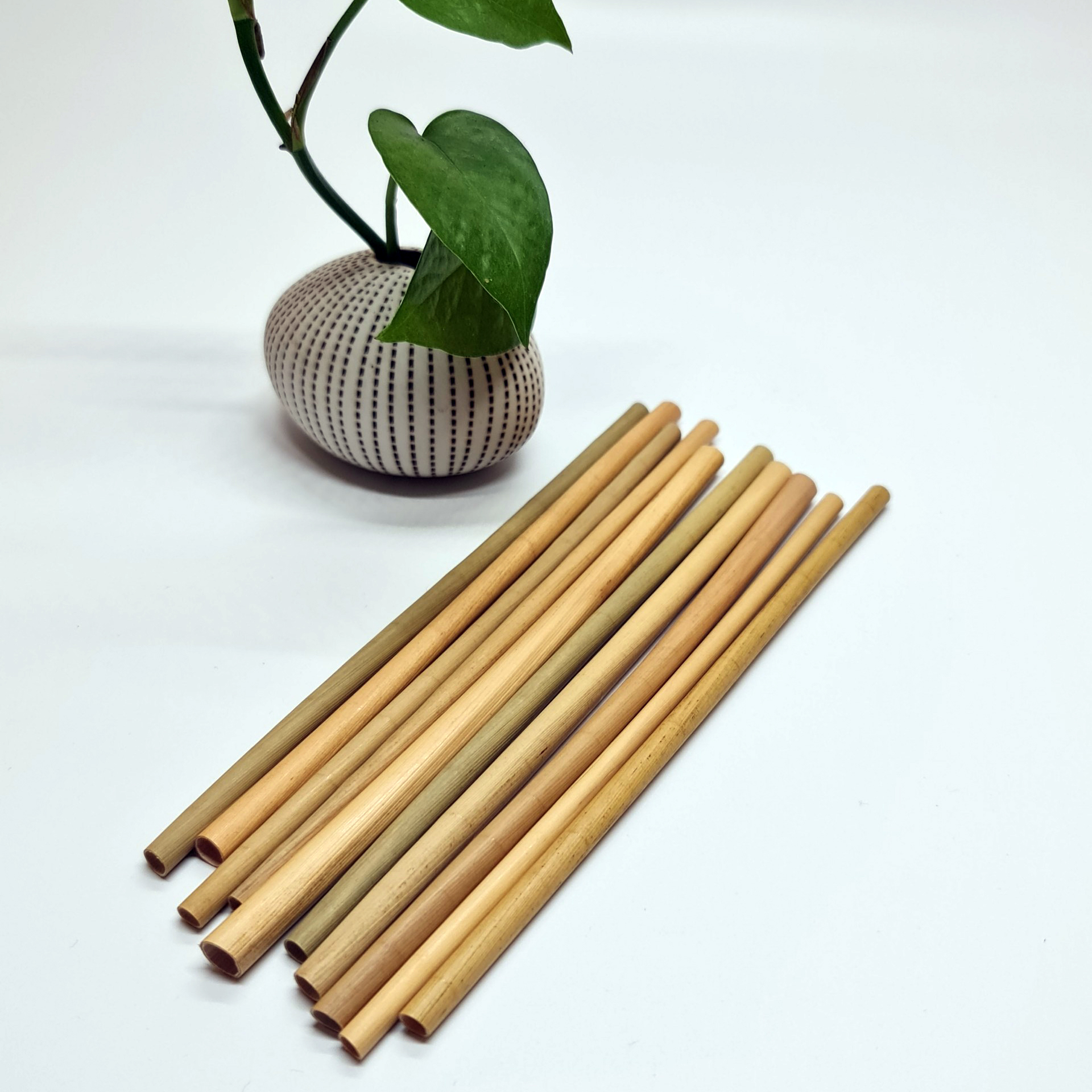 Hộp 100 Ống Hút Cỏ (Grass Straws) Dài 15 cm - Không Tan, Biến Dạng Trong Nước - Dùng Được Cho Tất Cả Các Loại Thức Uống