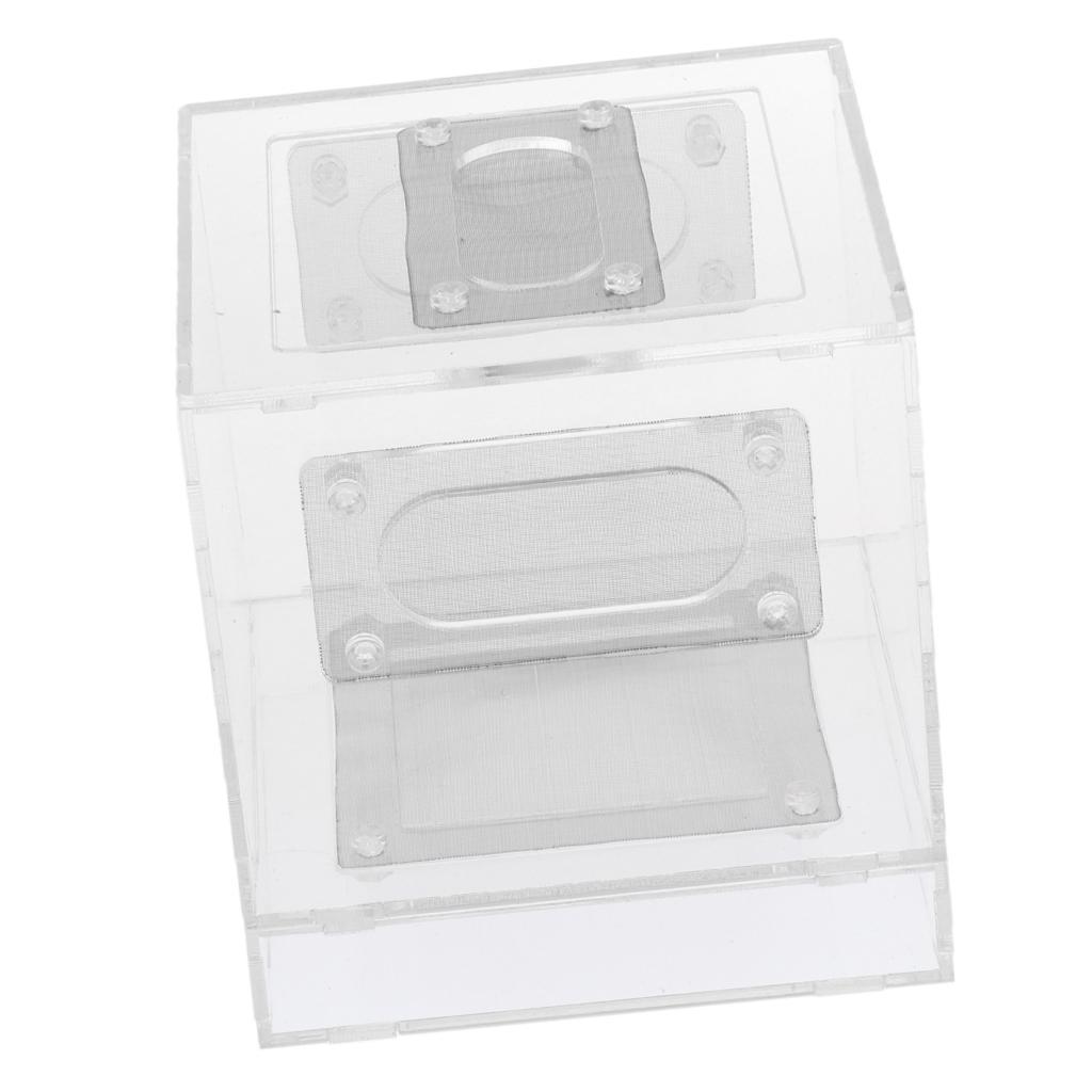 Small Reptile Lizard Spider Scorpion Insect Vivarium Feeding Rearing Box