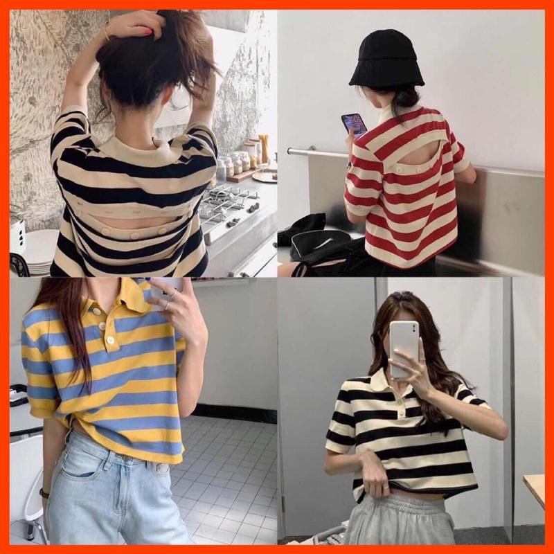 Áo / Váy cổ polo kẻ ngang khoét lưng 3 màu hàng Quảng Châu Lyn Closet A810L