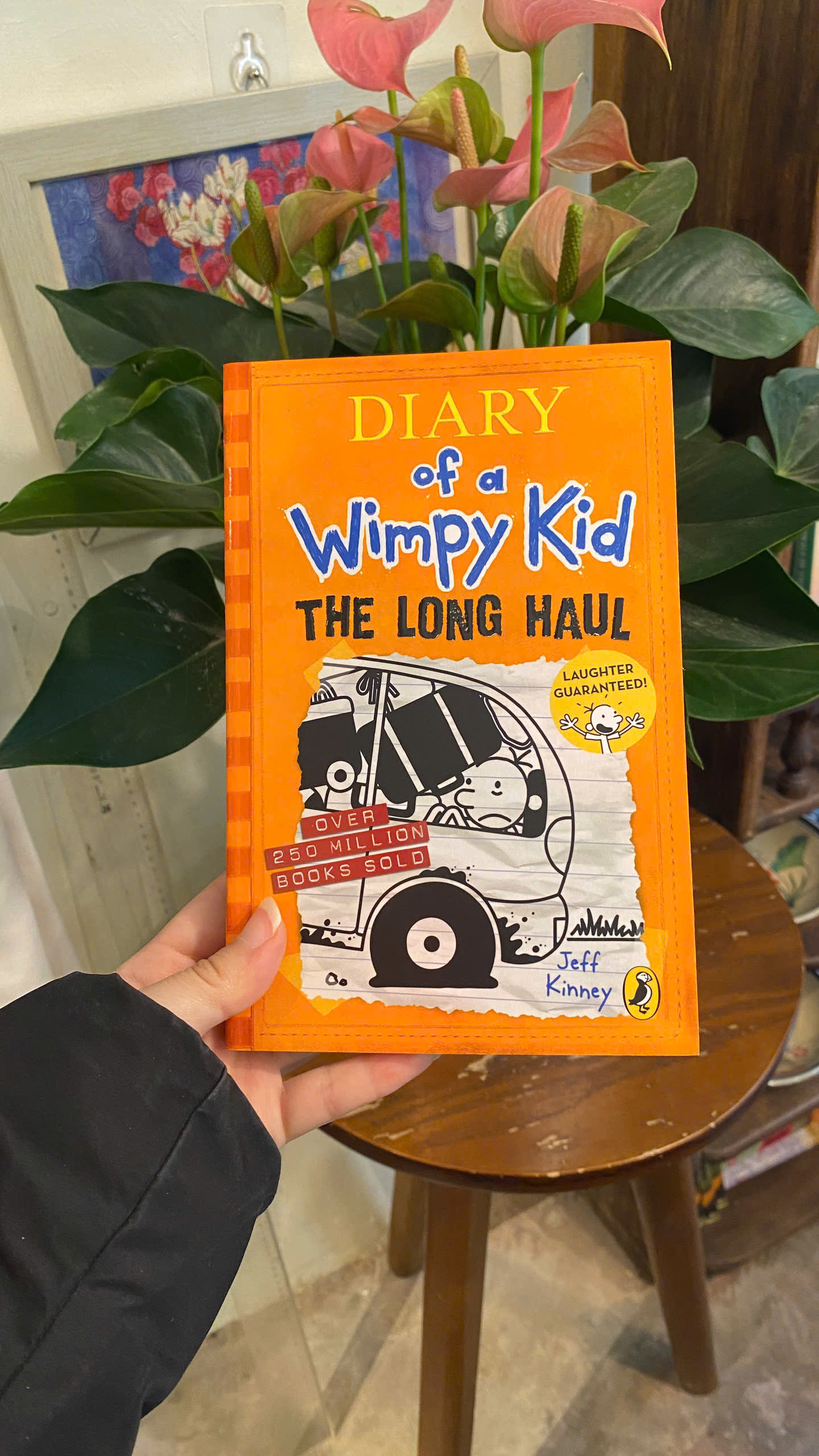 Sách - Diary of a Wimpy Kid: The Long Haul by Jeff Kinney | Children’s Book / Ngoại văn Thiếu nhi