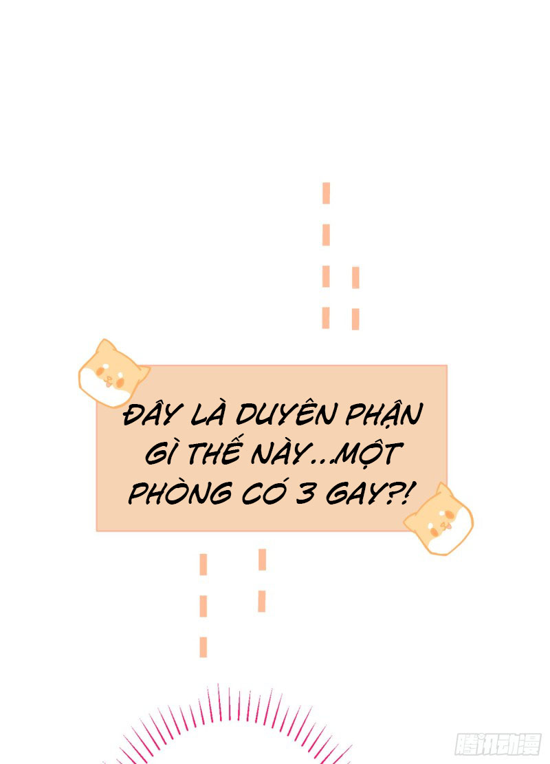 lại bị nam thần chọc trên hot search! chapter 18 19