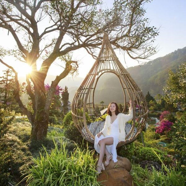 Tour Đà Lạt 3N3Đ: Vườn Hoa Cẩm Tú Cầu - Trại Cún Puppy - Đường Hầm Đất Sét - Que Garden, Khởi Hành Tối Thứ 5 Hàng Tuần