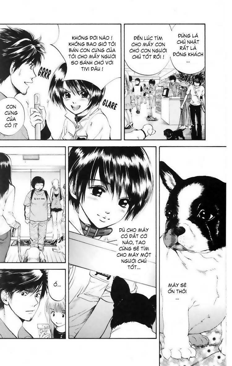 cô nàng yêu chó chapter 10 10