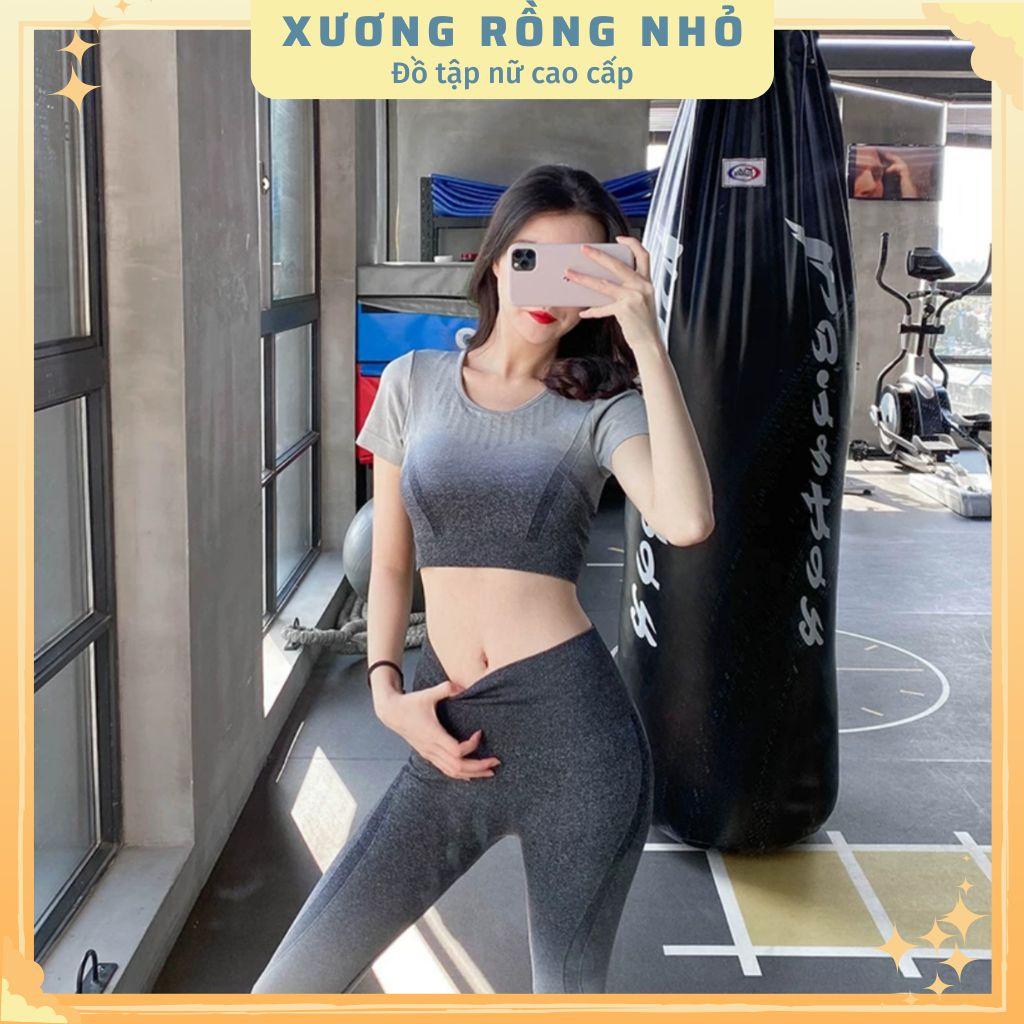 Bộ quần áo tập gym, yoga thể thao nữ có sẵn lót ngực, Đồ tập nữ ombre, quần tập cạp cao chất lệu thông thoáng, co giãn