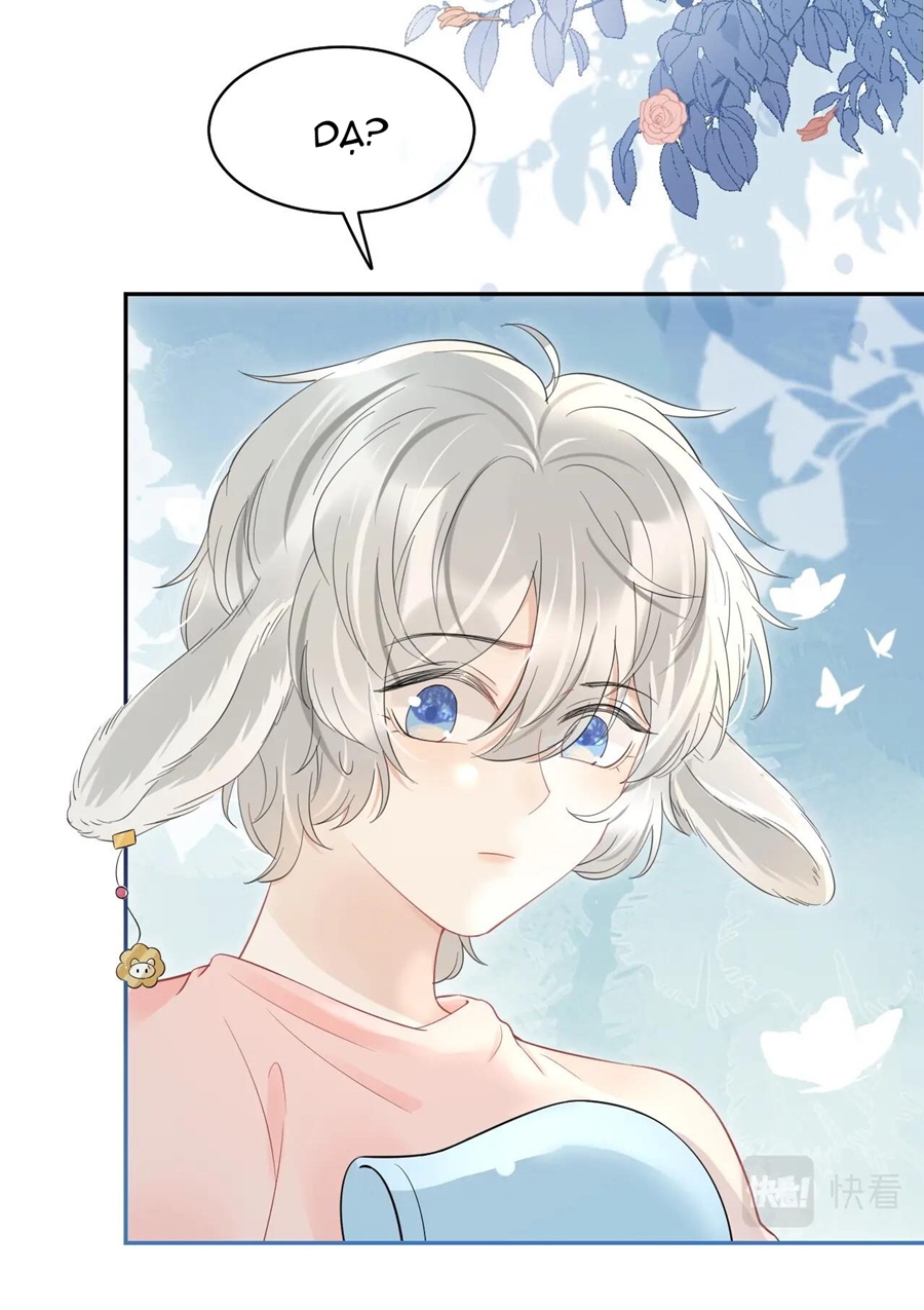 ăn một bé thỏ chapter 39 15