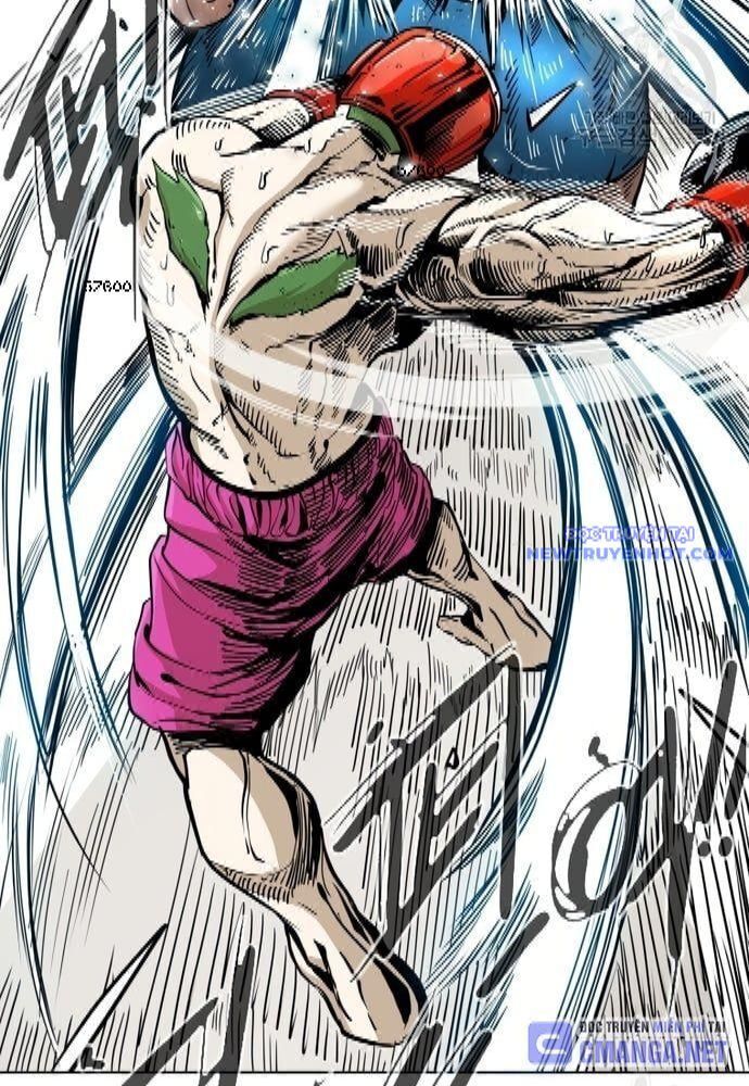 shark - cá mập chapter 254 17