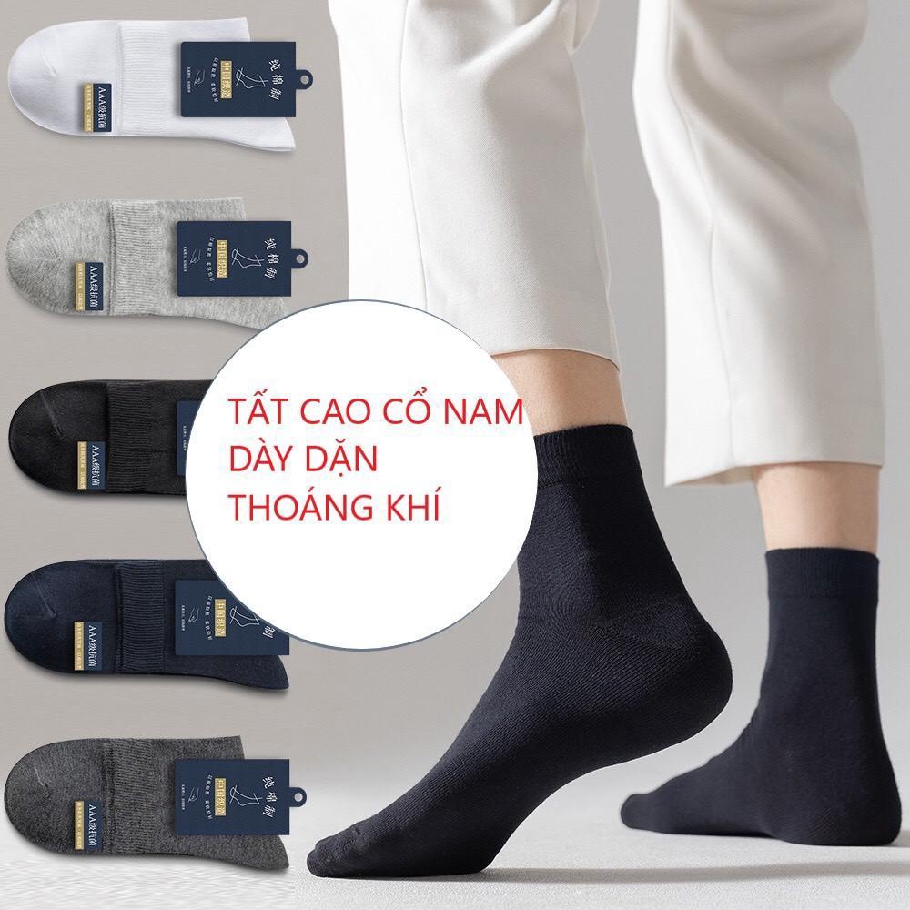 Tất nam, vớ nam cao cổ hàng cotton, thoáng khí, thấm hút cực tốt