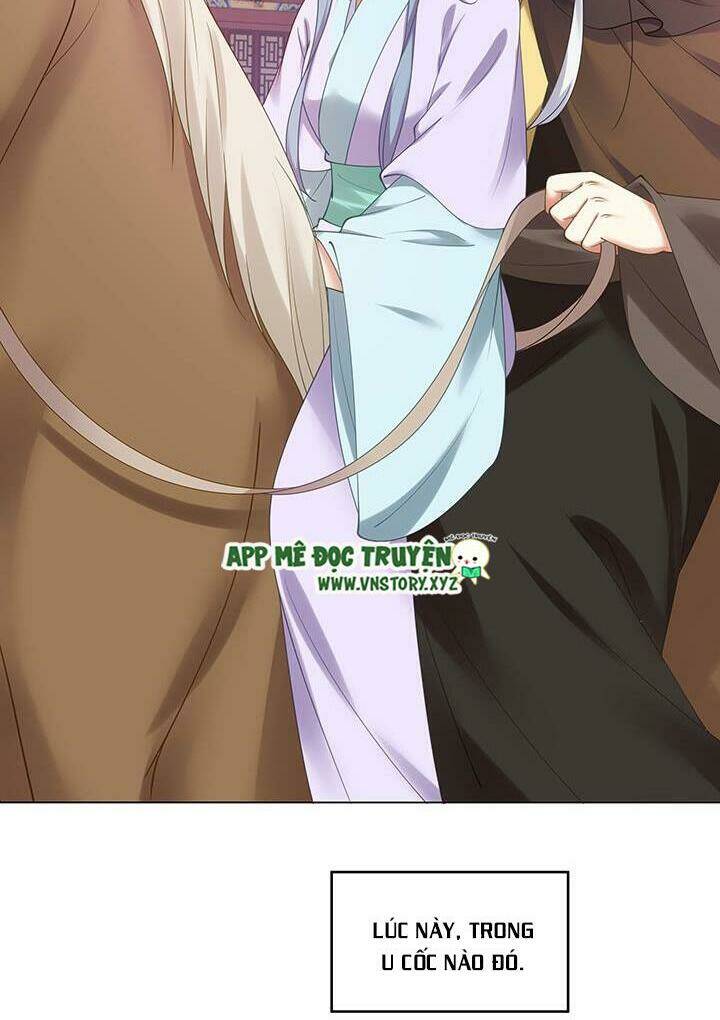 đô đốc đại nhân sủng thê kí chapter 109 25
