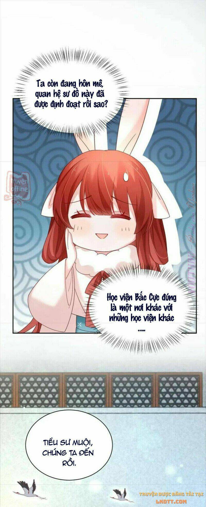 hắc hóa nam chính trực tuyến nuôi thỏ chapter 55 34