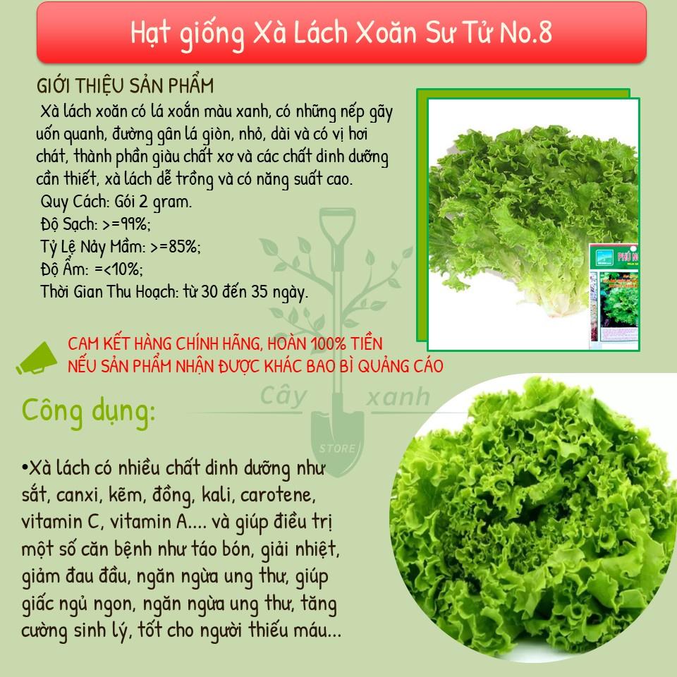 Hạt Giống Rau Xà Lách Xoăn Sư Tử Hạt Đen Chịu Nhiệt, Dễ Trồng - Phú Nông Seeds