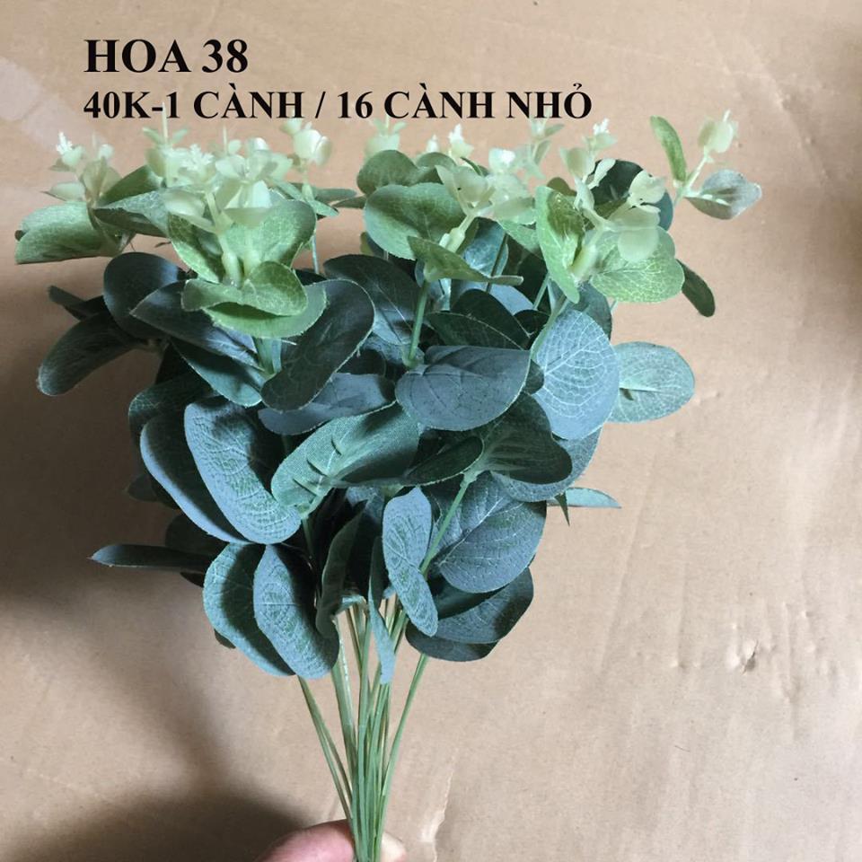 Hoa xanh trang trí