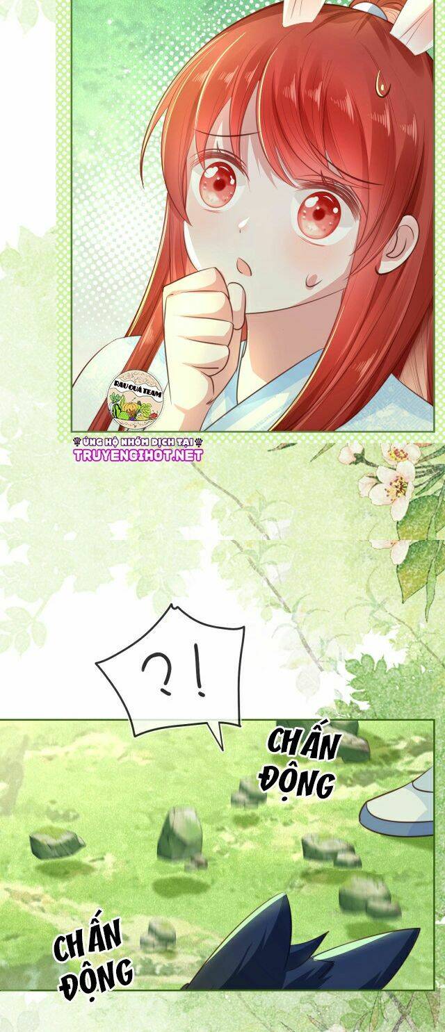 hắc hóa nam chính trực tuyến nuôi thỏ chapter 21 5