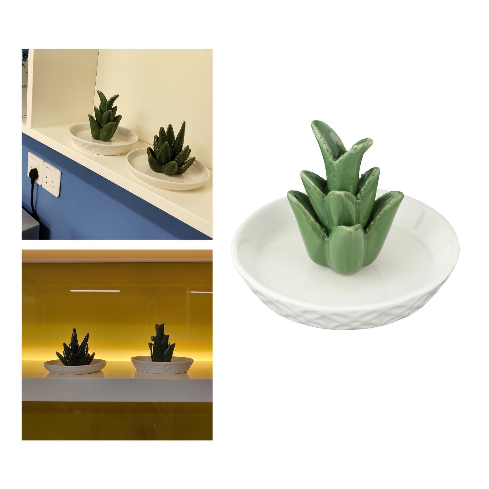 Ceramic Aloe Jewelry Holder Tray Earrings Organizer Decor Gift