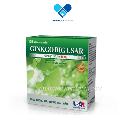 Viên uống bổ não GINKGOBIG USAR Hộp 100 viên