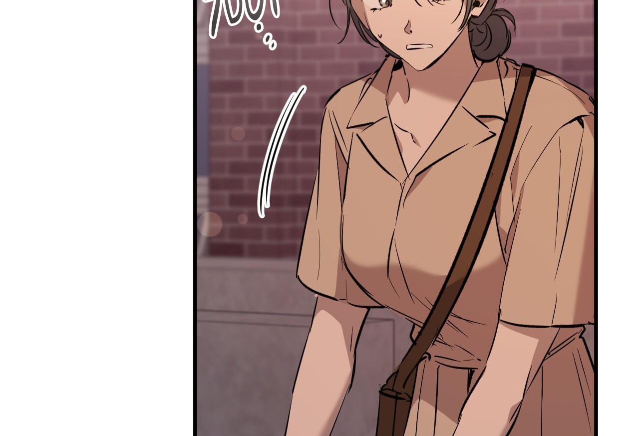 những chú thỏ của hapypy chapter 57 18