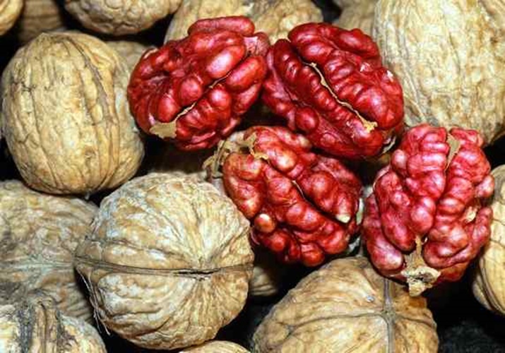 Combo 2 Hủ Nhân Quả Óc Chó Đỏ Mfood 250G