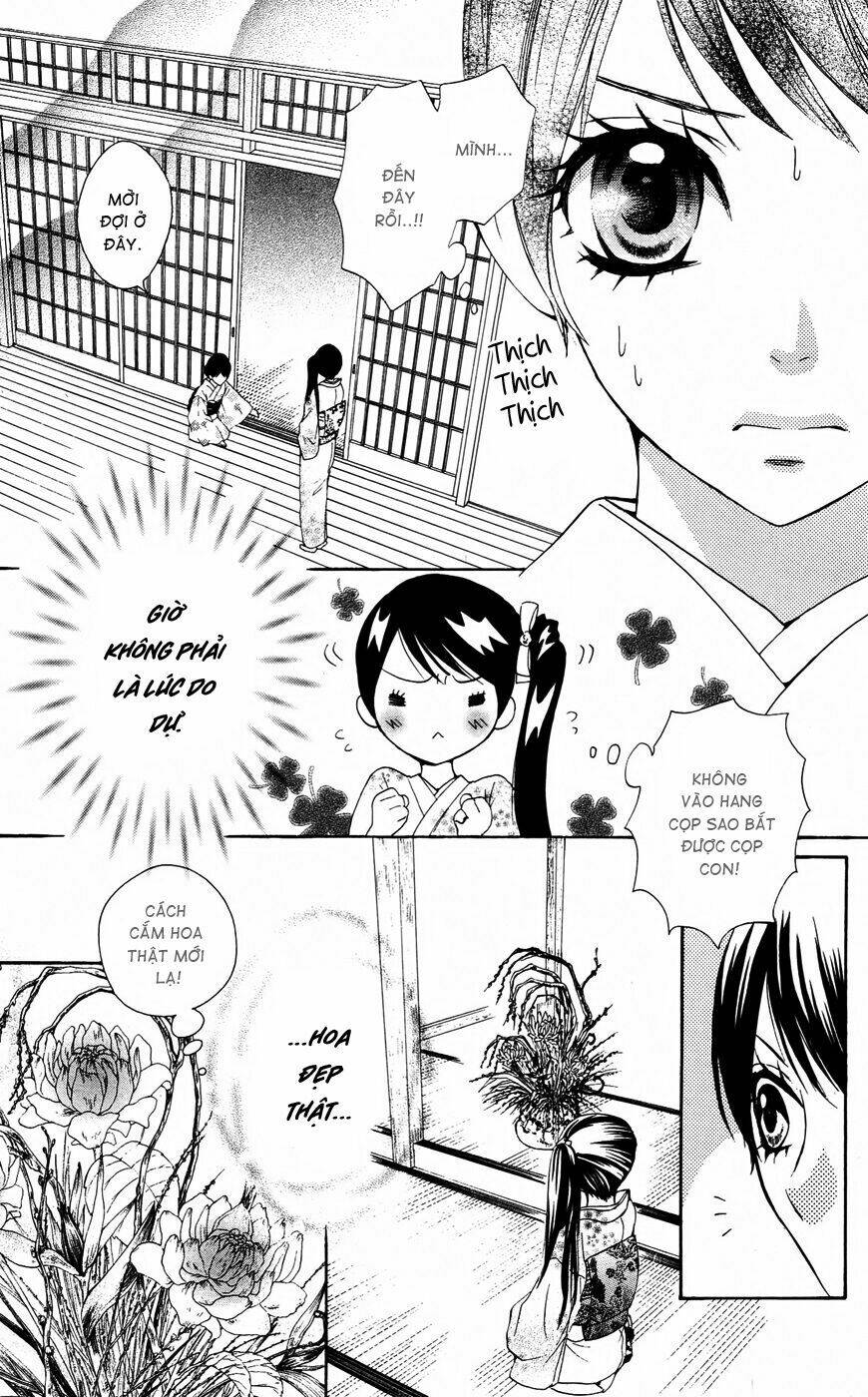 cô dâu tiểu thư - ojousama wa oyomesama chapter 17 12