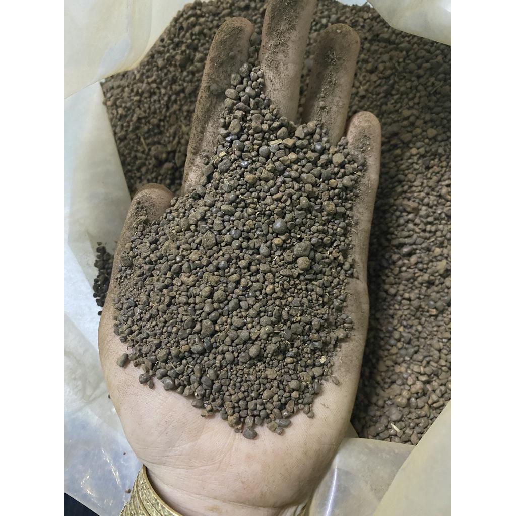 Sỏi Suối Nâu Tự Nhiên - Trang Trí Hồ Thuỷ Sinh, Tiểu Cảnh 1kg