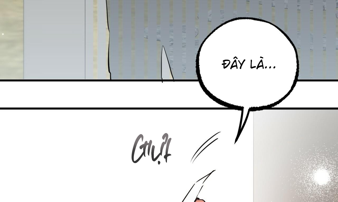 những chú thỏ của hapypy chapter 56 90