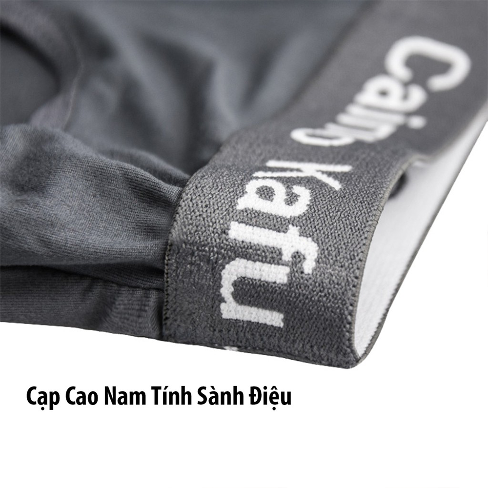 Hộp 4 Quần Lót Tam Giác Nam Cao Cấp Thun Lạnh Quần Sịp Xì Chéo Nam Co Giãn 4 Chiều